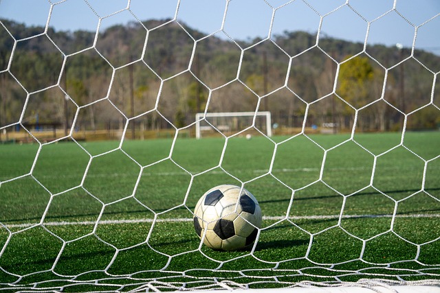 队的合约选 队的合约选